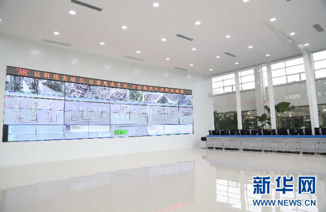 强信心·走进百企丨红桃国际药业：“数智化”助力中医药开启发展新篇章